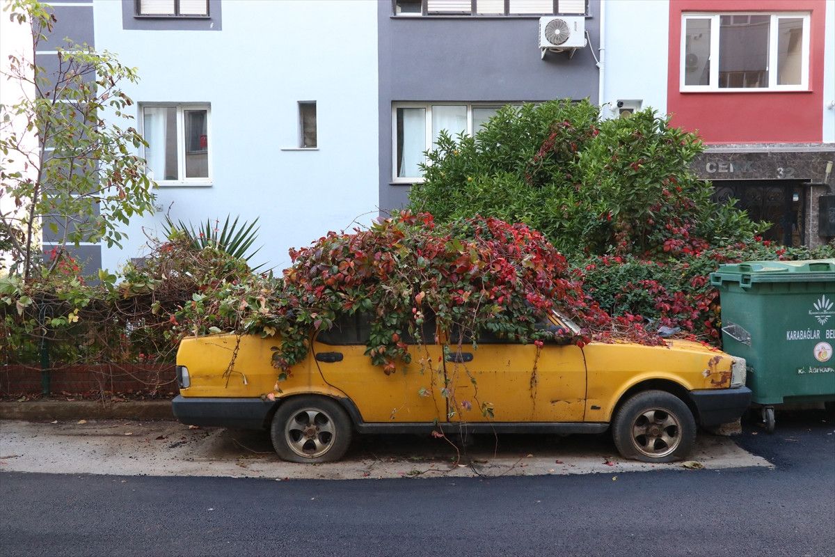 İzmir Karabağlar’da Park Halindeki Araca Ulaşamayan Çalı ve Kaderine Terk Edilen Otomobil