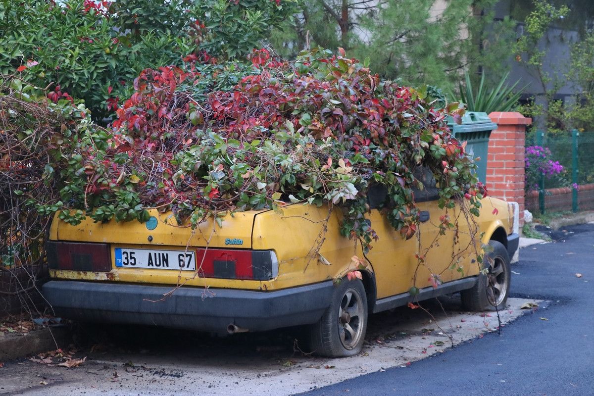 İzmir Karabağlar’da Park Halindeki Araca Ulaşamayan Çalı ve Kaderine Terk Edilen Otomobil