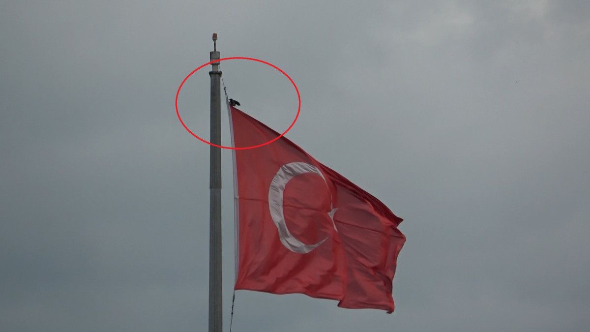 Cumhuriyet Meydanı’ndaki Rüzgarda Türk Bayrağıyla Mücadele: Karganın Gösterisi
