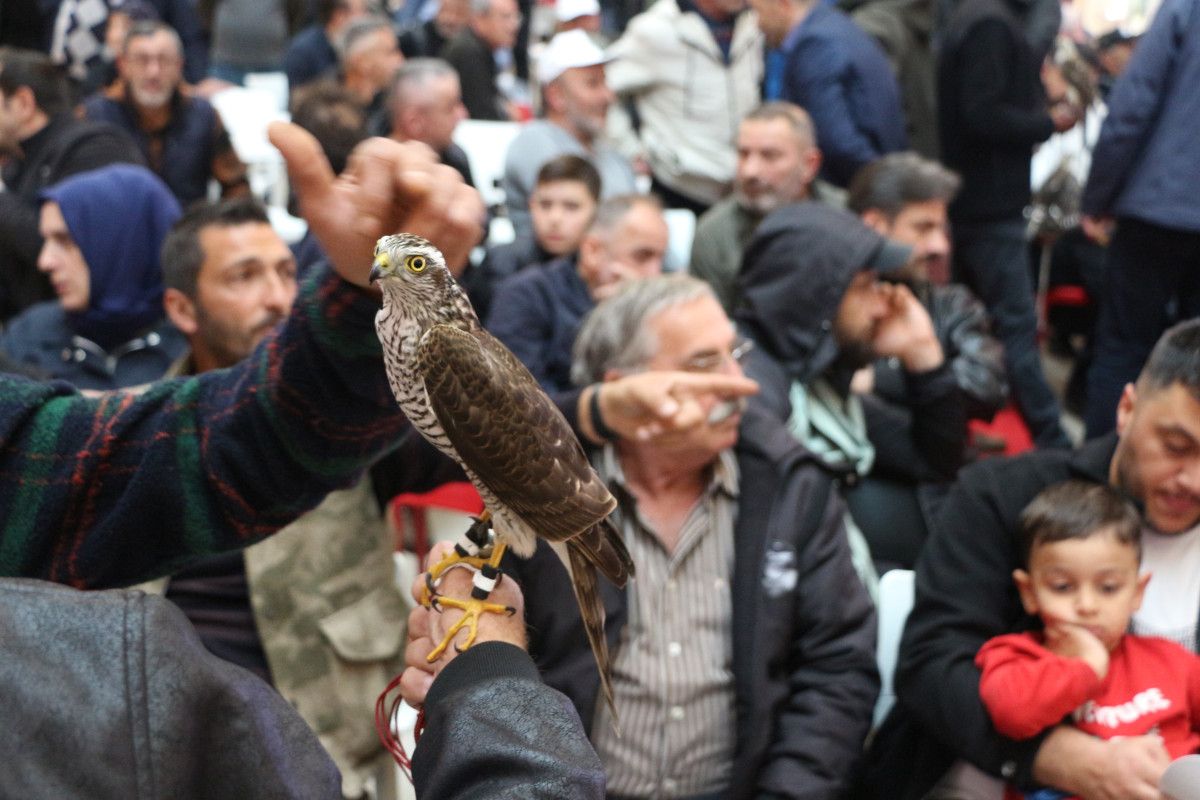 Atmaca Güzellik Yarışması Rize ve Artvin’de Geleneksel Heyecan