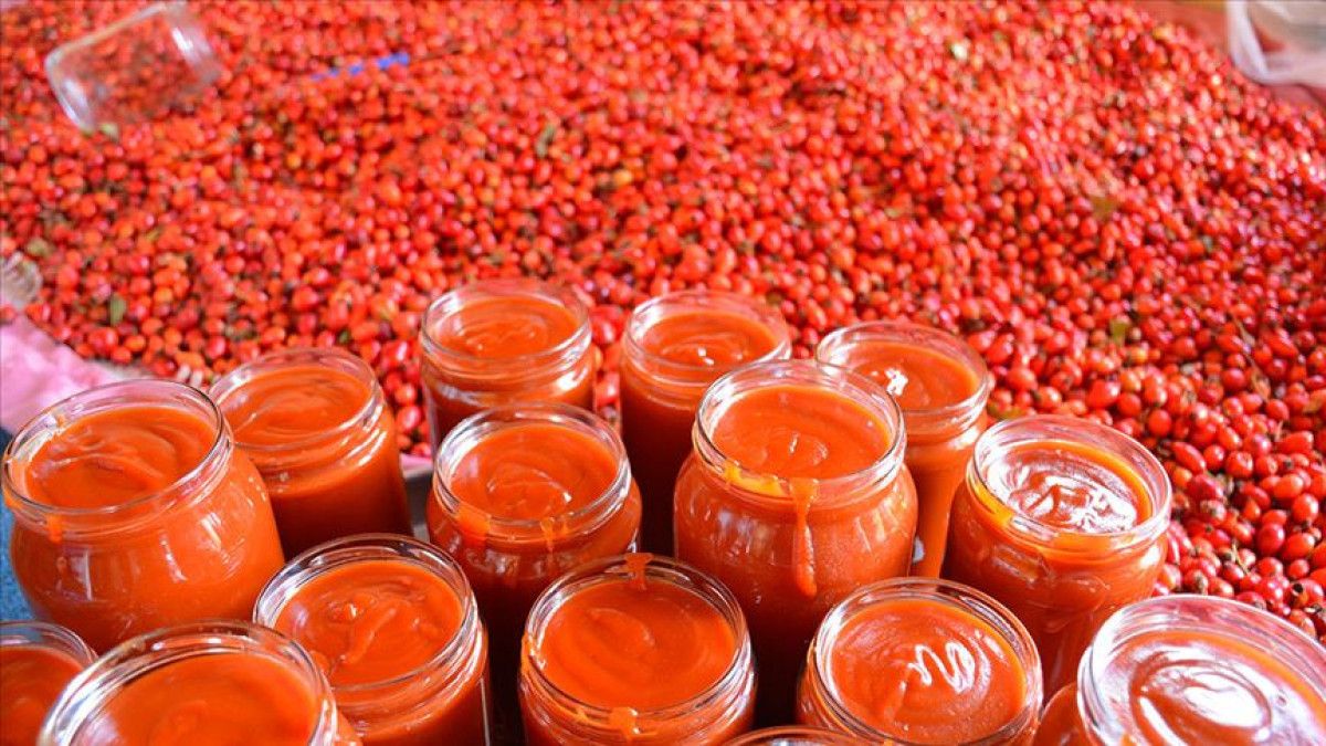 Kuşburnu: Kışa Hazırlıkta Doğal Şifa ve Geleneksel İşleme Süreci