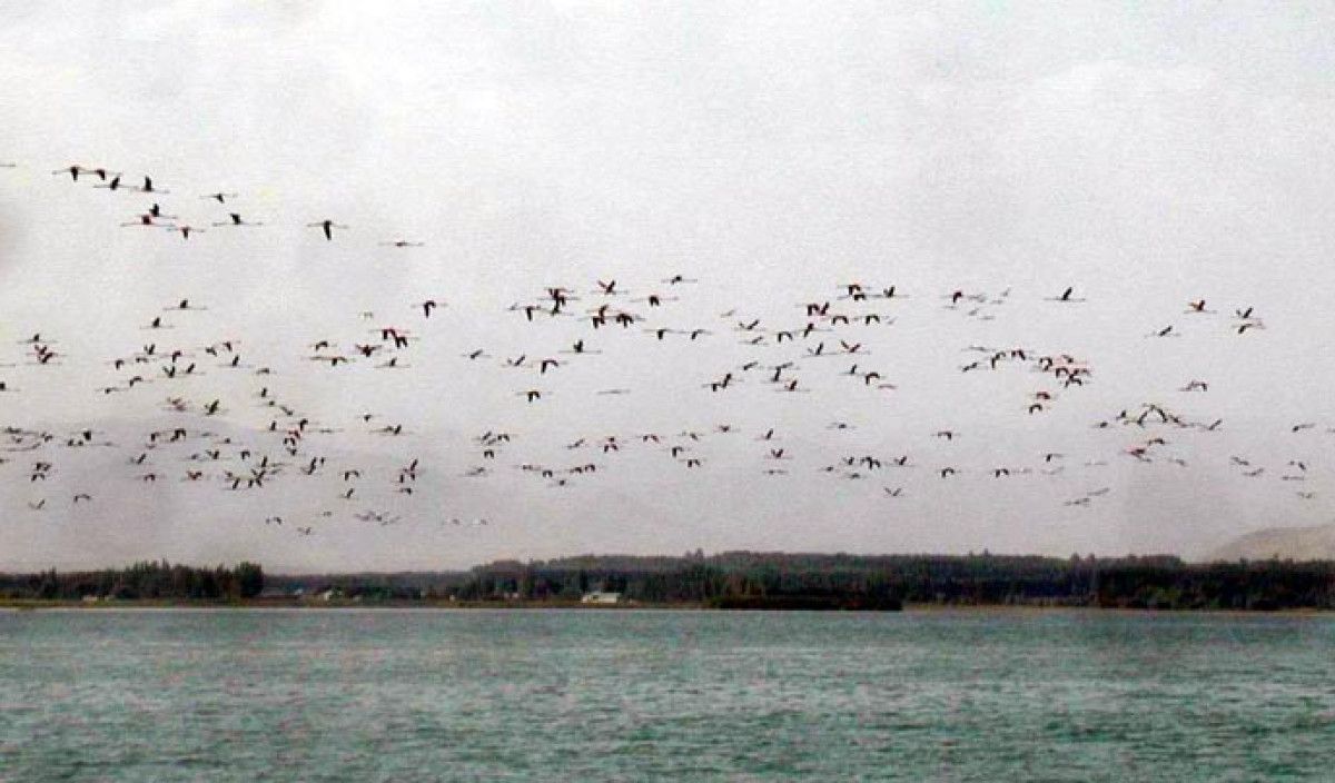 Erciş Kalesi ve Van Gölü: Kuraklığın Gölün Kıyısındaki İzleri