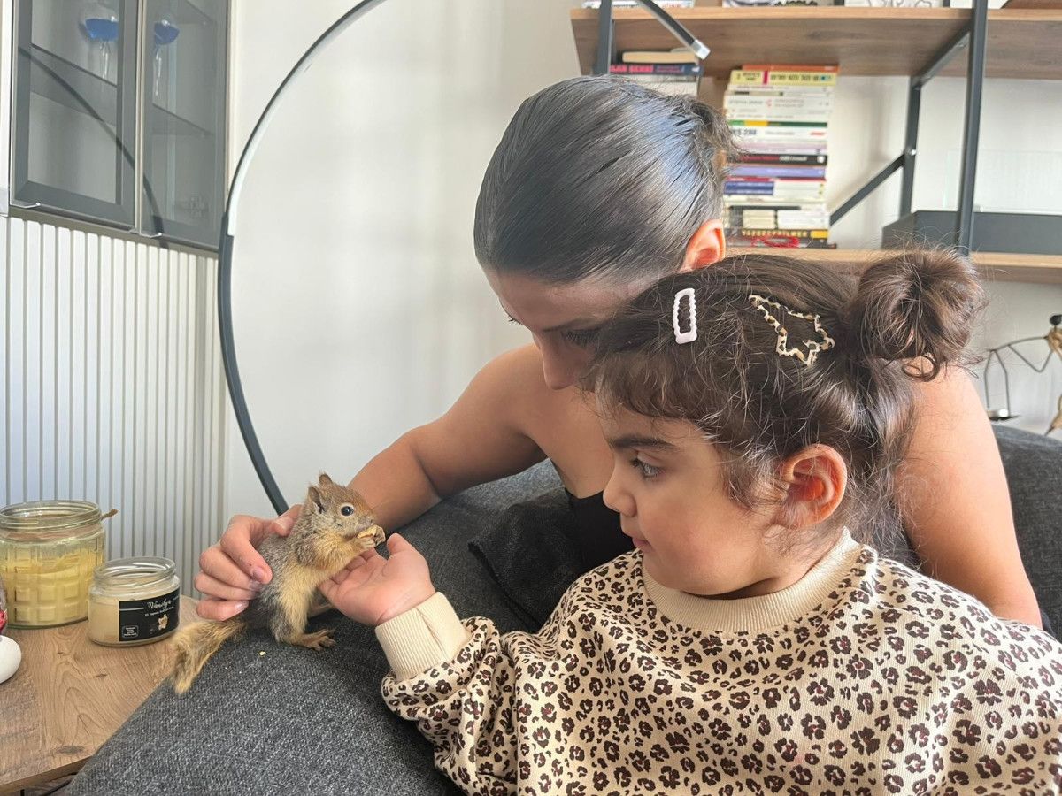 Yoda: Ankara’dan Yurtdışına Taşınacak Sincap Hastalıkla Mücadelesini Yeni Rehabilitasyon Merkezinde Sürdürüyor