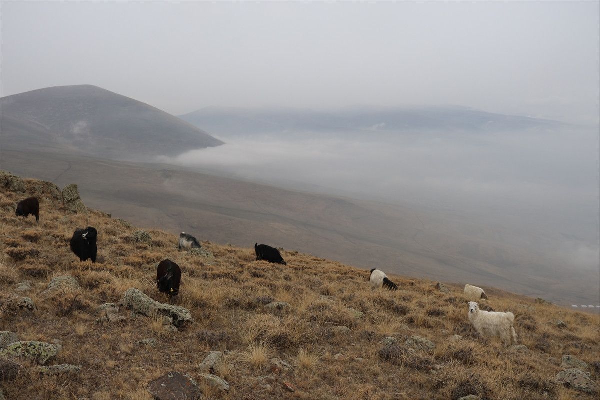 Aras Dağları: Sisli Manzaralar ve Doğa Tutkunlarıyla Dolu Bir Mevsim