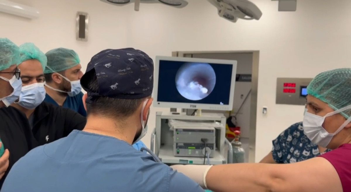 Yanık Ceviz Parçalarının Soluk Borusuna Girmesiyle Başlayan ama Yaşama Umudu Yitirilmeden Atılan Adımlar