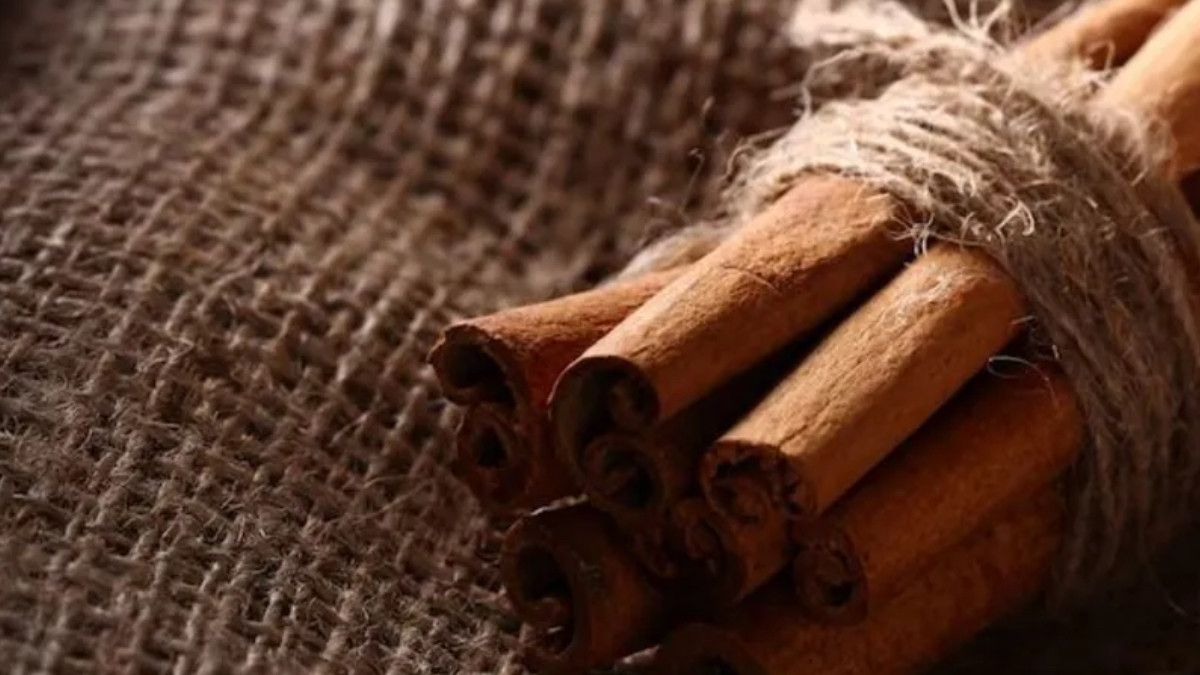 Japon Ev Girişlerinde Tarçın Demetlerinin Sırları: Koruma ve Doğal Böcek Savarı