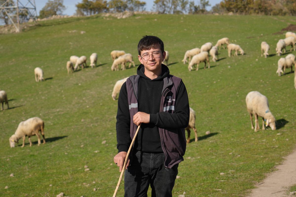 Küpeli Çoban: Sağırlar Köyünden Genç Girişimcinin Hayvancılık Serüveni