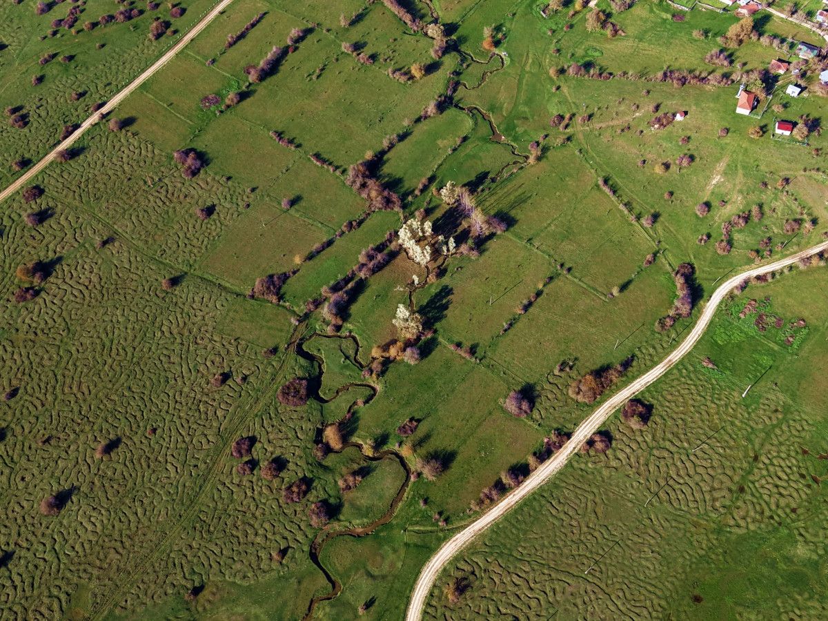 Karagöl Yaylası: Doğanın Şahnesi ve Jeolojik Zenginlik