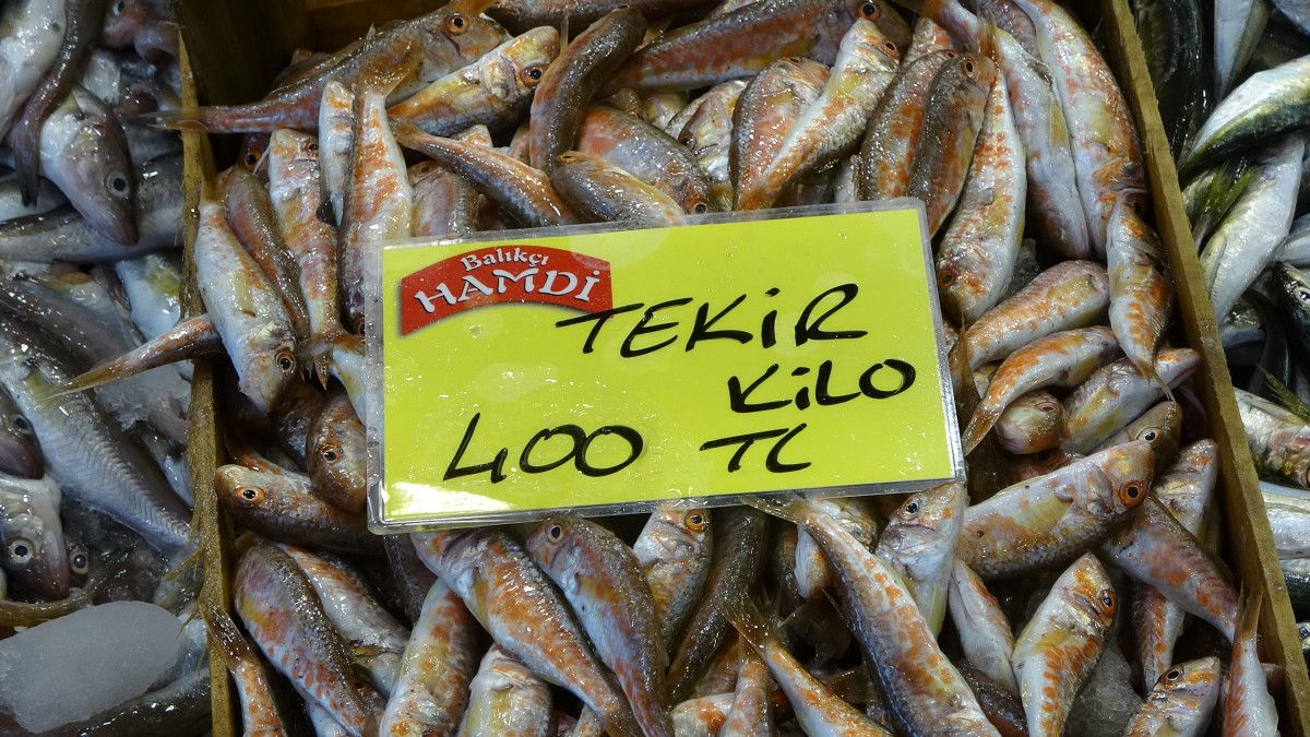 İzmit Balık tezgahlarında çeşit çeşit balık, ama bolluk tam anlamıyla hissedilmiyor