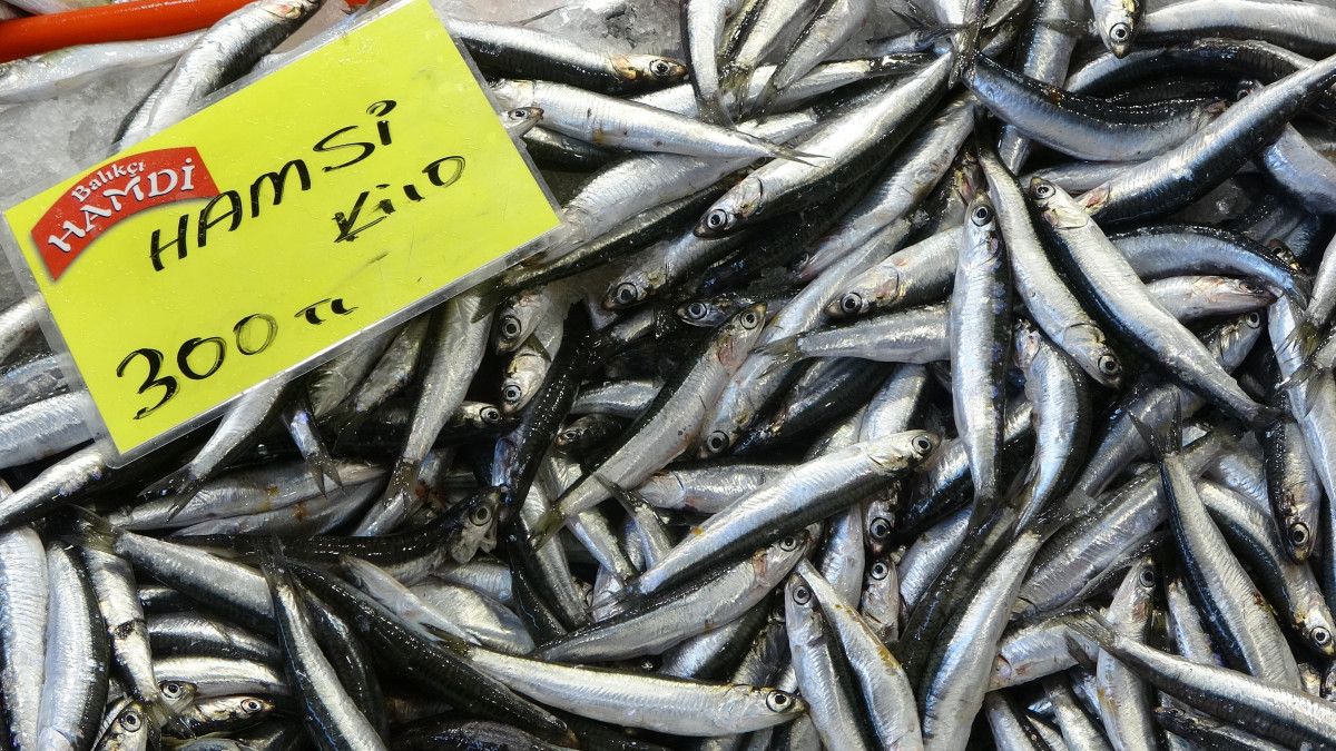 İzmit Balık tezgahlarında çeşit çeşit balık, ama bolluk tam anlamıyla hissedilmiyor