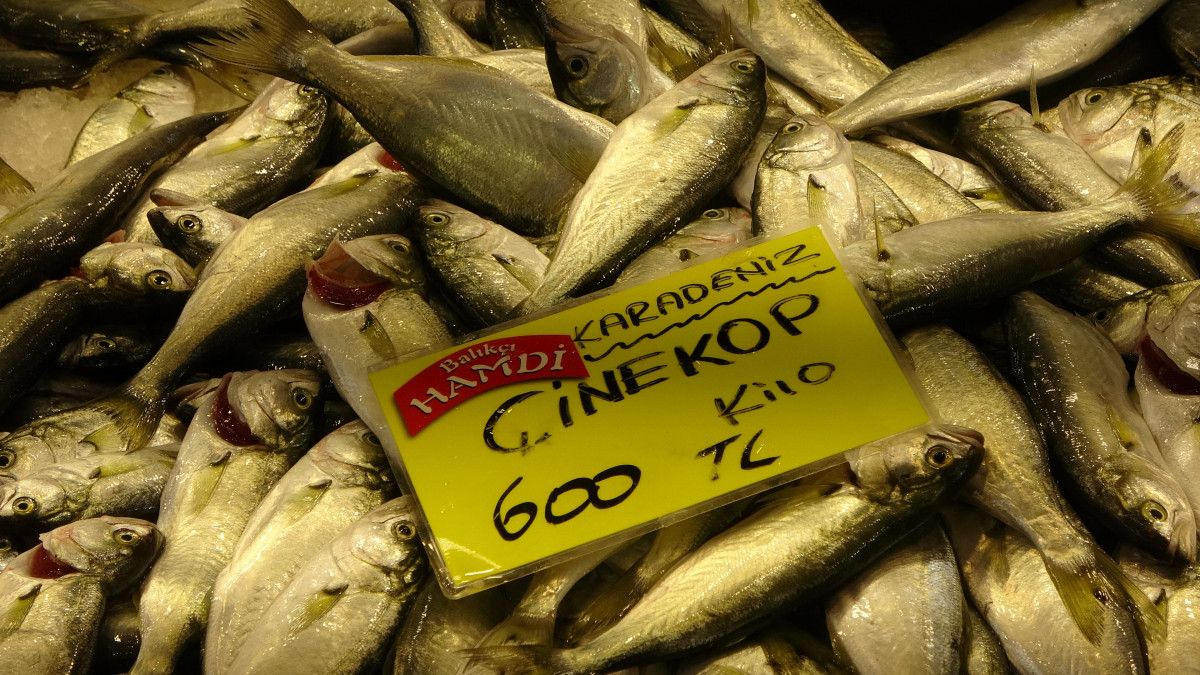 İzmit Balık tezgahlarında çeşit çeşit balık, ama bolluk tam anlamıyla hissedilmiyor