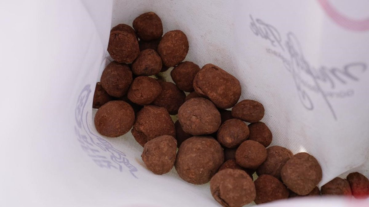 Geleceğe Nefes: Tohum Toplarından Ormana Yolculuk - Bursa’de Gönüllü Destekli Yeşil Proje