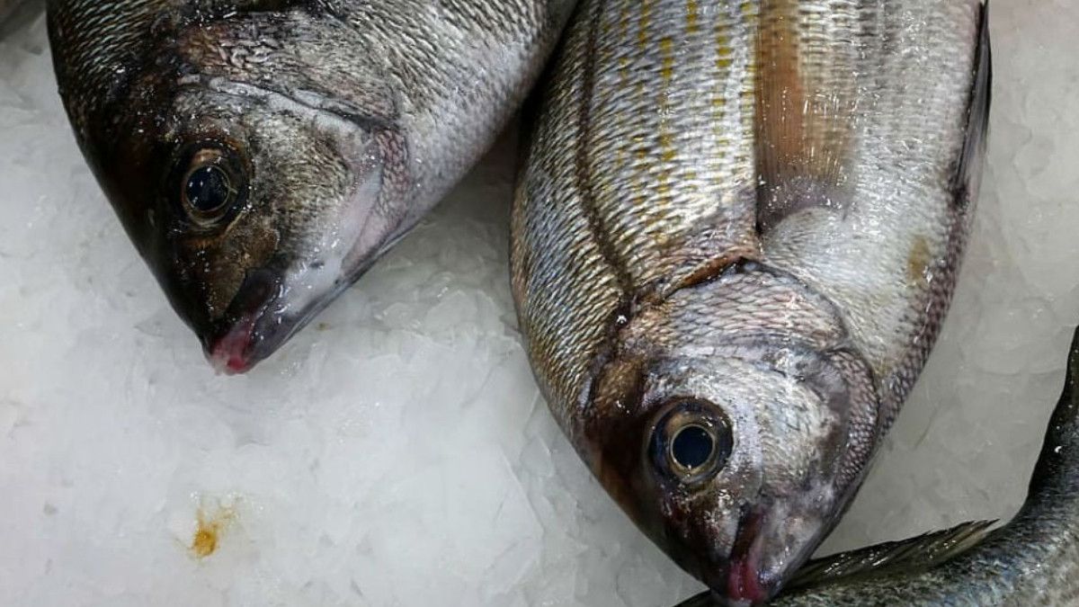 Bayat Balık Uyarısı: Taze Balığın Belirtileri ve Doğru Seçim Yöntemleri