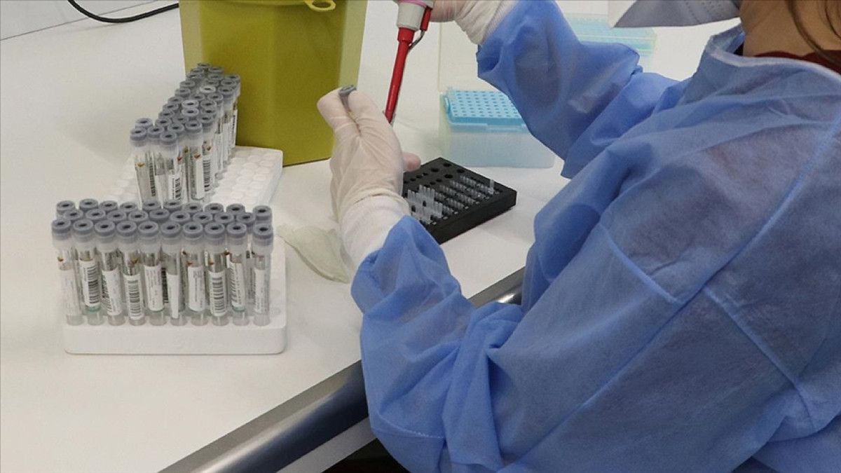 Salmonella ve Gıda Zehirlenmesi: Belirtiler, Bulaşma Yolları ve Korunma