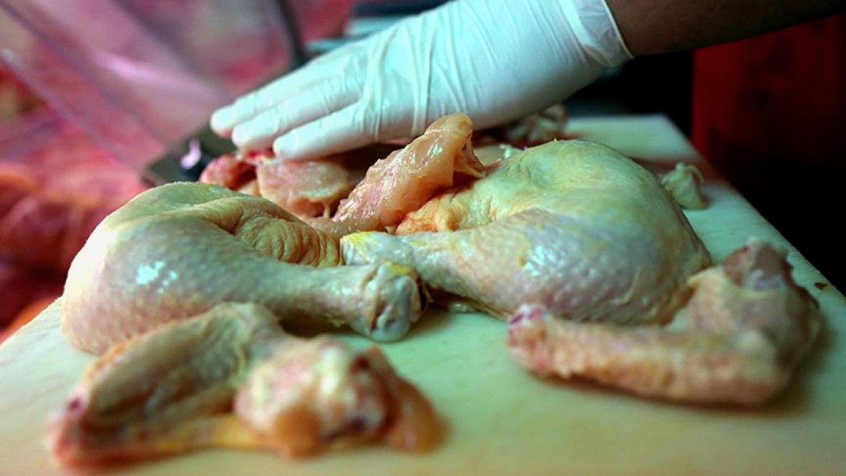 Salmonella ve Gıda Zehirlenmesi: Belirtiler, Bulaşma Yolları ve Korunma