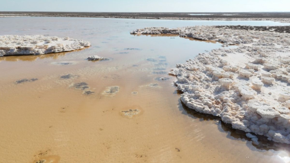 Tuz Gölü'nün Kırmızı Alarmı: Küçülme Hızı Artıyor ve Su Kuyularına Dikkat Çekiliyor