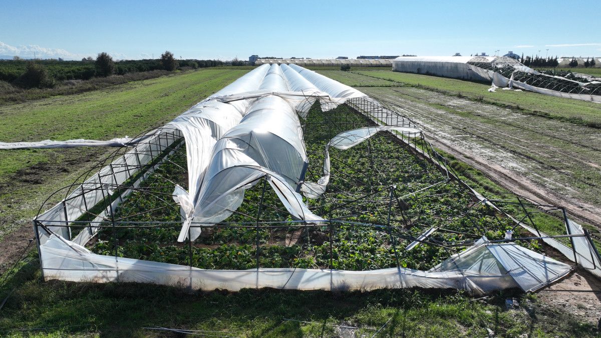 Manavgat Hortumundan Zarar Gören Seraların Hasar Tespiti ve Destek Planı