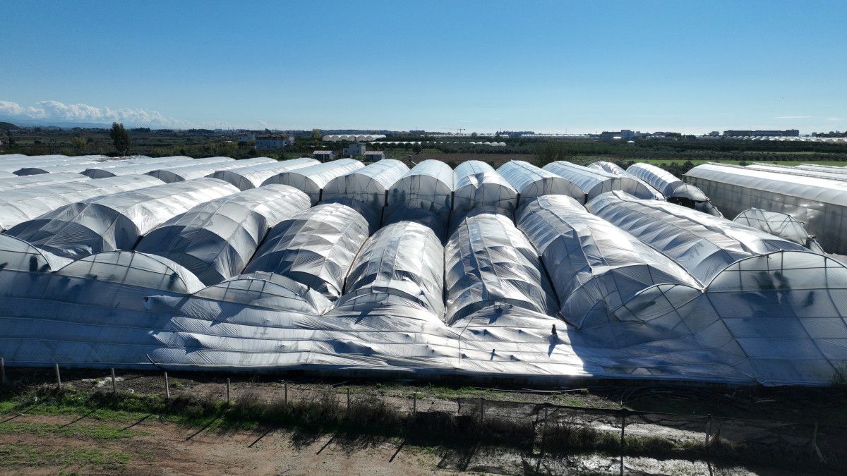 Manavgat Hortumundan Zarar Gören Seraların Hasar Tespiti ve Destek Planı