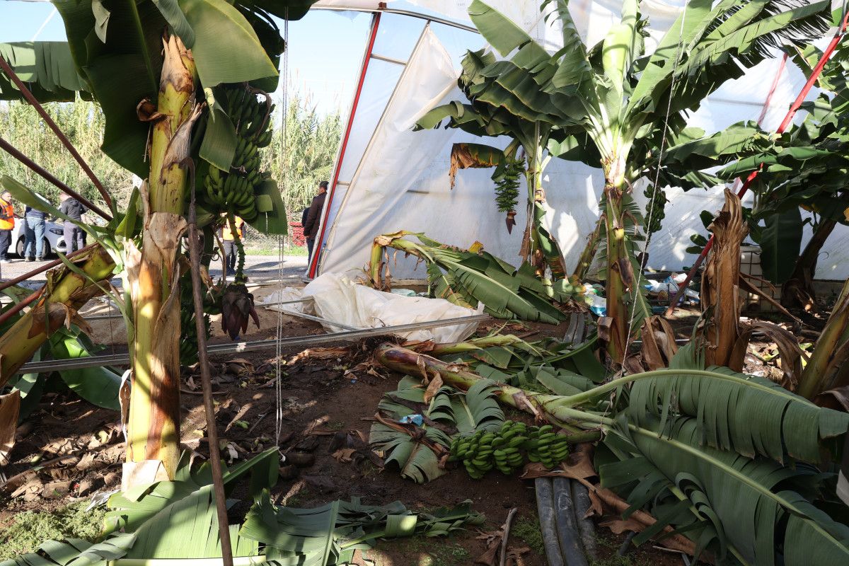 Manavgat Hortumundan Zarar Gören Seraların Hasar Tespiti ve Destek Planı