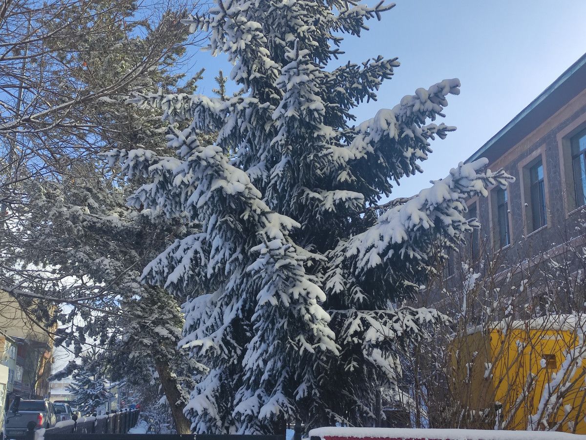 Kar Yağışıyla Şehri Sardı: Ardahan’ın Ulaşım ve Kamu Hizmetlerinde Hızlı Müdahale