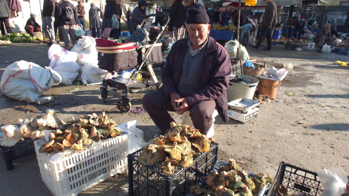 Burhaniye'de Melki Mantarı Bereketi: Yağışlar Hasadı ve Fiyat Değişimi