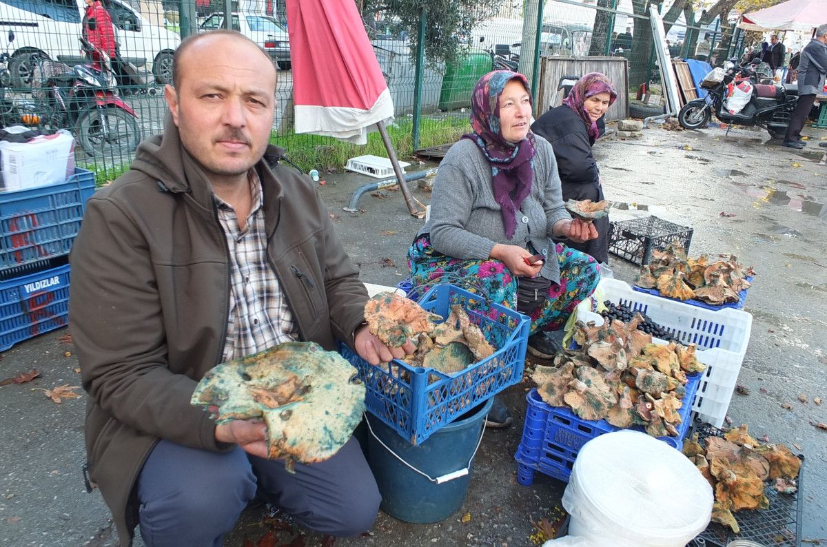 Burhaniye'de Melki Mantarı Bereketi: Yağışlar Hasadı ve Fiyat Değişimi