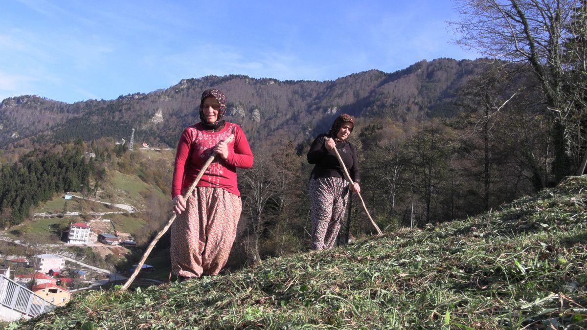Trabzonluların Yorgunluk ve Tutkunluk Dönüşümü: Yayladan Maça Uzanan Bir Aşk Hikayesi