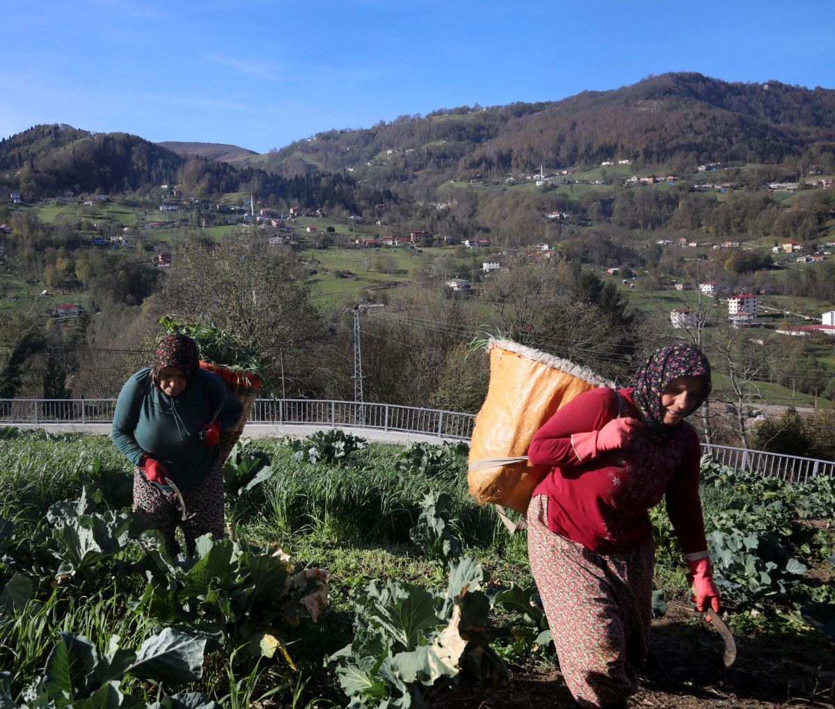 Trabzonluların Yorgunluk ve Tutkunluk Dönüşümü: Yayladan Maça Uzanan Bir Aşk Hikayesi