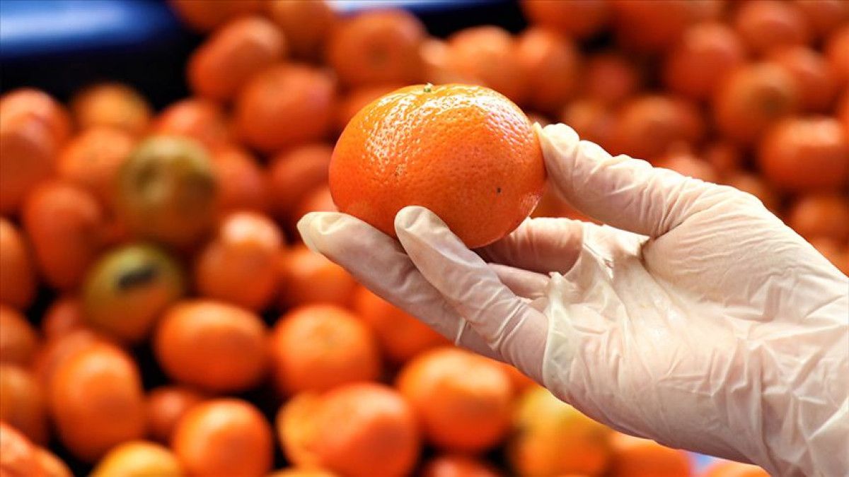 Narenciye Kabuğundaki Pestisit Kalıntılarına Karşı Etkili Temizlik Yöntemleri