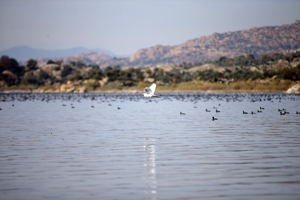 Bafa Gölü’nde Yağışların Ardından Canlanma: Doğal Dengeyi Yeniden İnşa Eden Rehabilitasyon Süreci