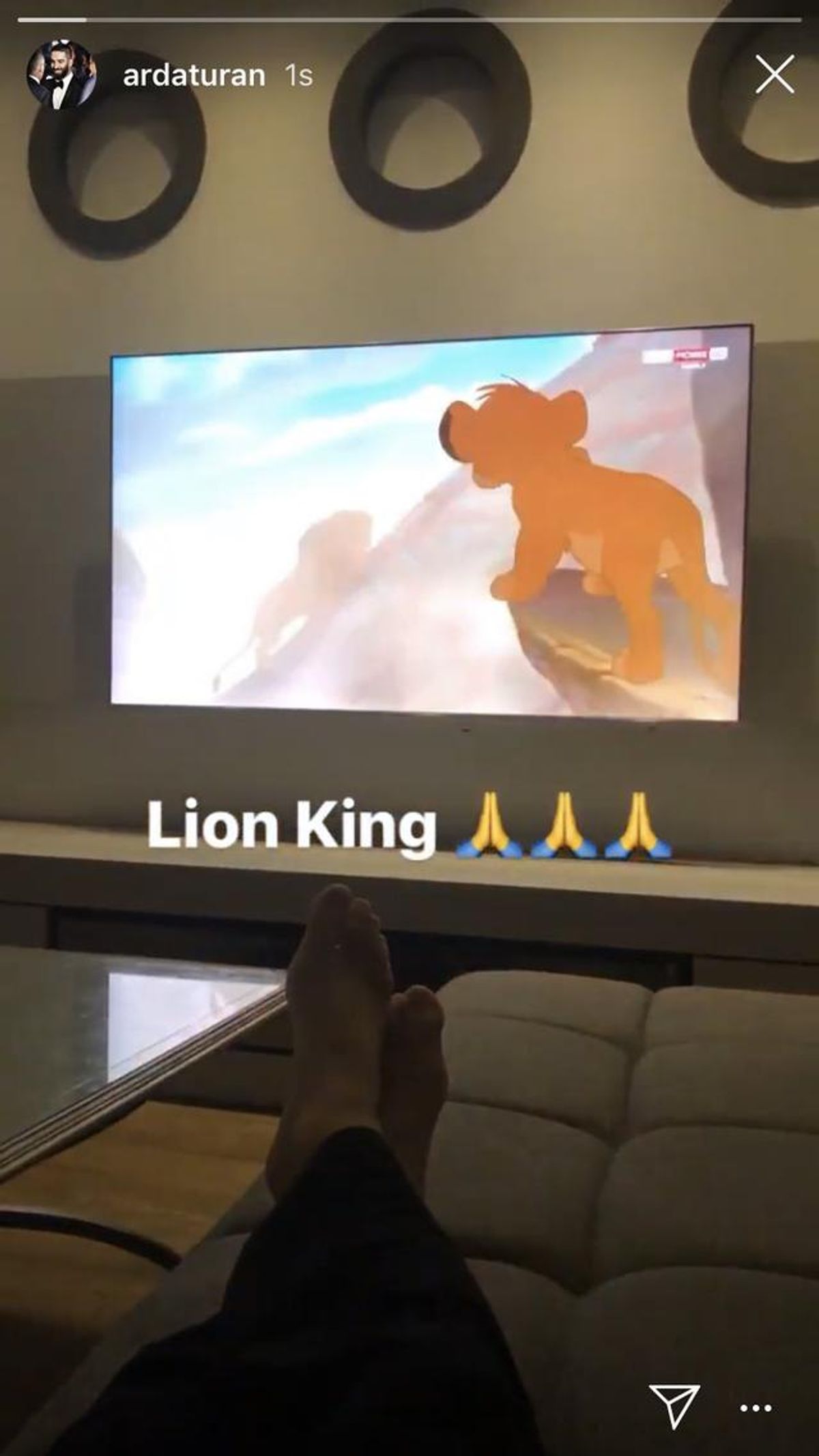 Arda Turan'ın paylaşımı: Aslan Kral