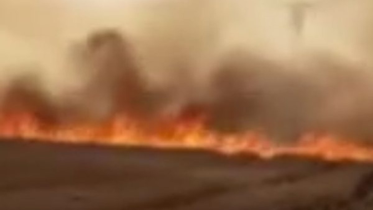 YPG/PKK Resulayn'da, 20 bin dönüm tarım arazisini yaktı