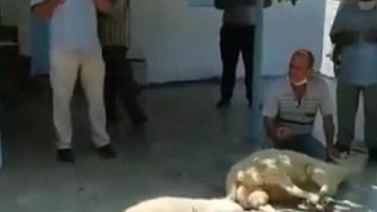 İzmir'de koronavirüsü yenenler, kurban kesti