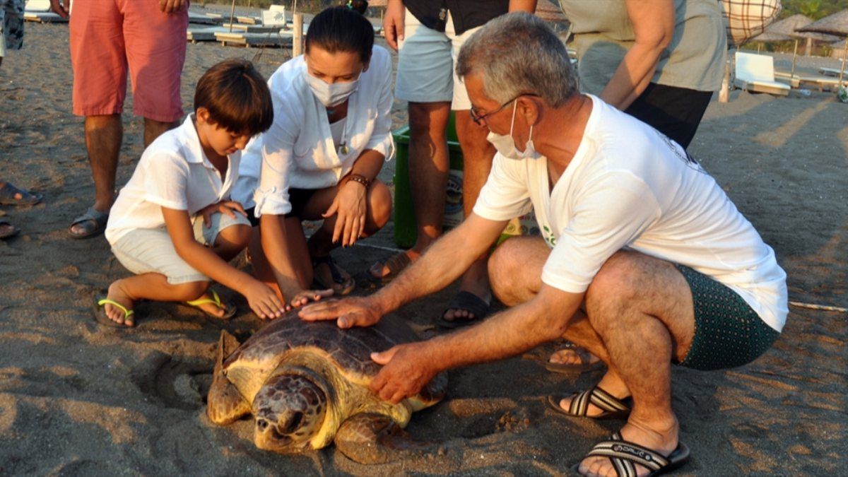 Muğla'da tedavisi tamamlanan caretta caretta denize bırakıldı
