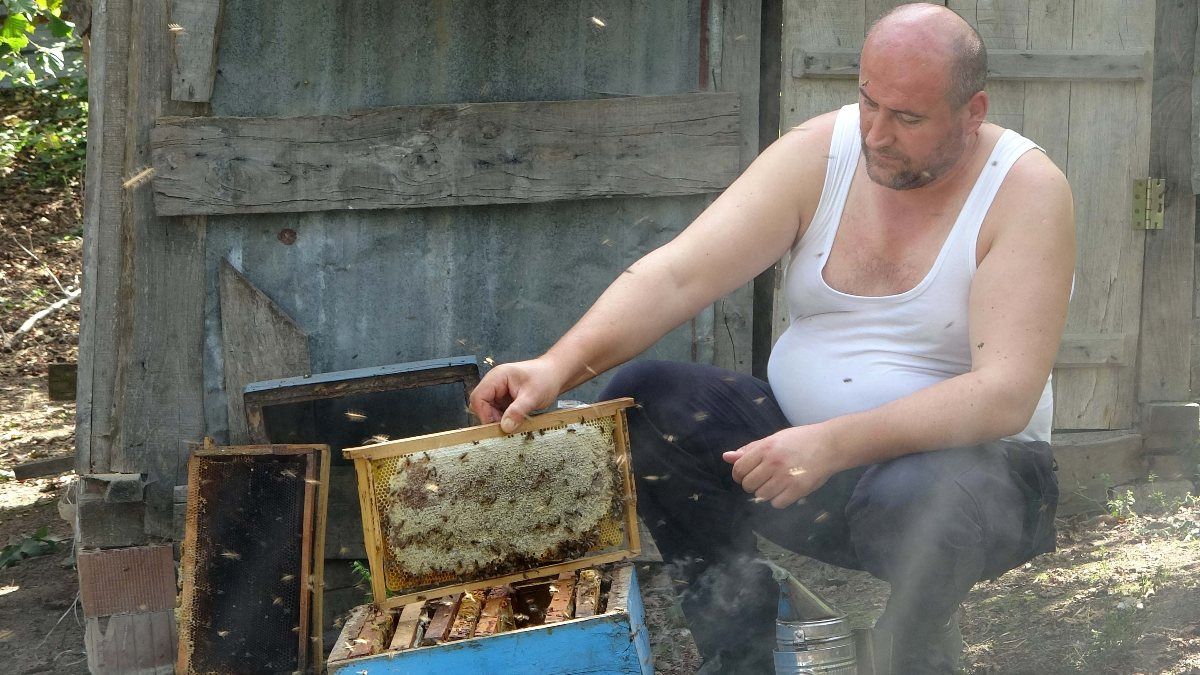 Ordulu arıcı, arılarının bakımını gömleğini çıkararak yaptı