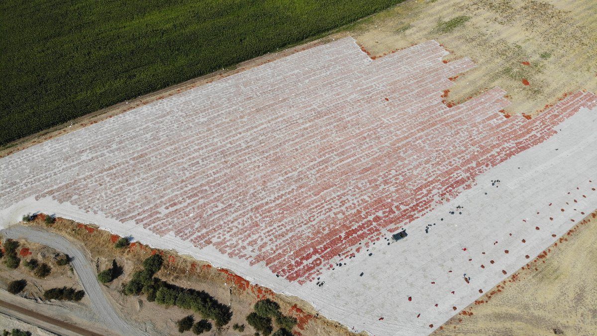Diyarbakır'ın kurutulmuş domatesleri İtalya'ya ihraç ediliyor