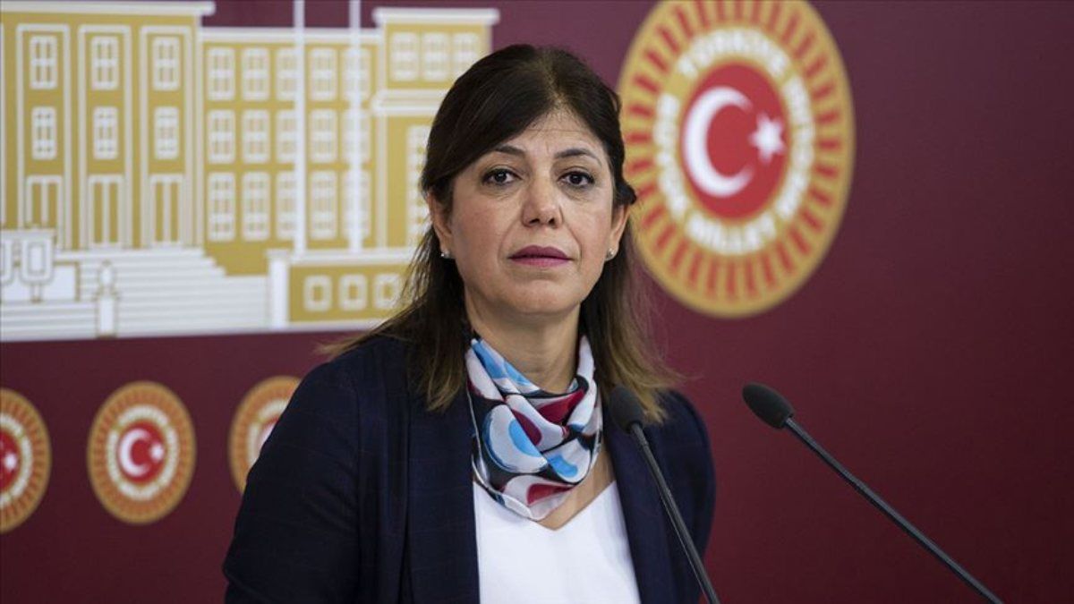 HDP'li Meral Danış Beştaş: Çocuklar dönsün diye mücadele veriyoruz