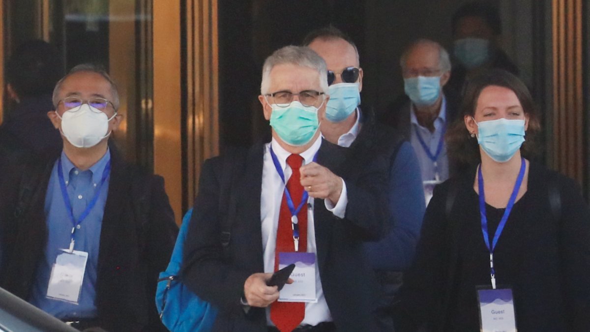 DSÖ doktoru: Koronavirüs salgını Çin'de ortaya çıkmamış olabilir