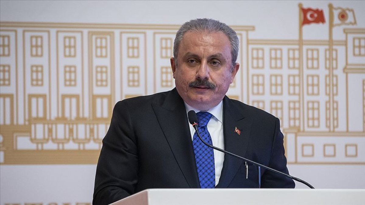 Mustafa Şentop: Fezlekelere karma komisyon karar verir