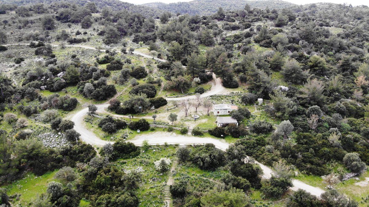 Bodrum’da 3 bin yıllık Antik Pedasa Kenti satılığa çıkarıldı