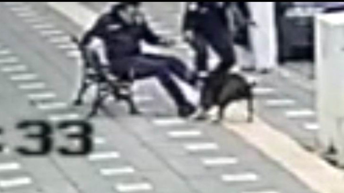 Manisa'da iki polis pitbull saldırısına uğradı