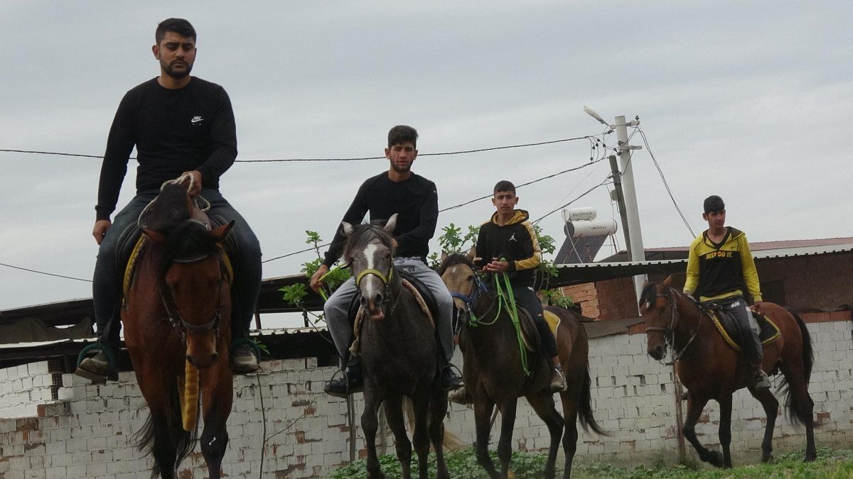Aydın'daki köyün geçim kaynağını, yarış atları oluşturuyor