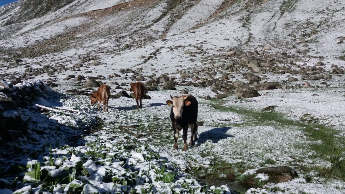 Rize’de yaylalar beyaza büründü