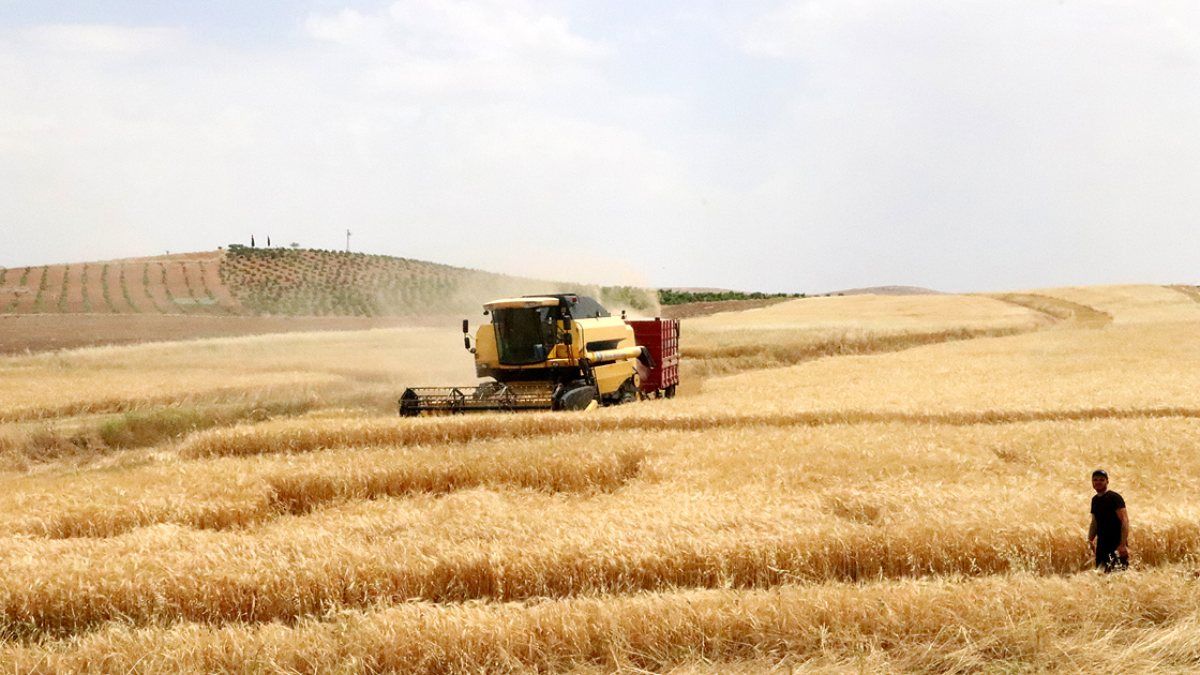 Çiftçiye dekar başına ödeme! Kuraklık desteği ne zaman yatacak 2021?