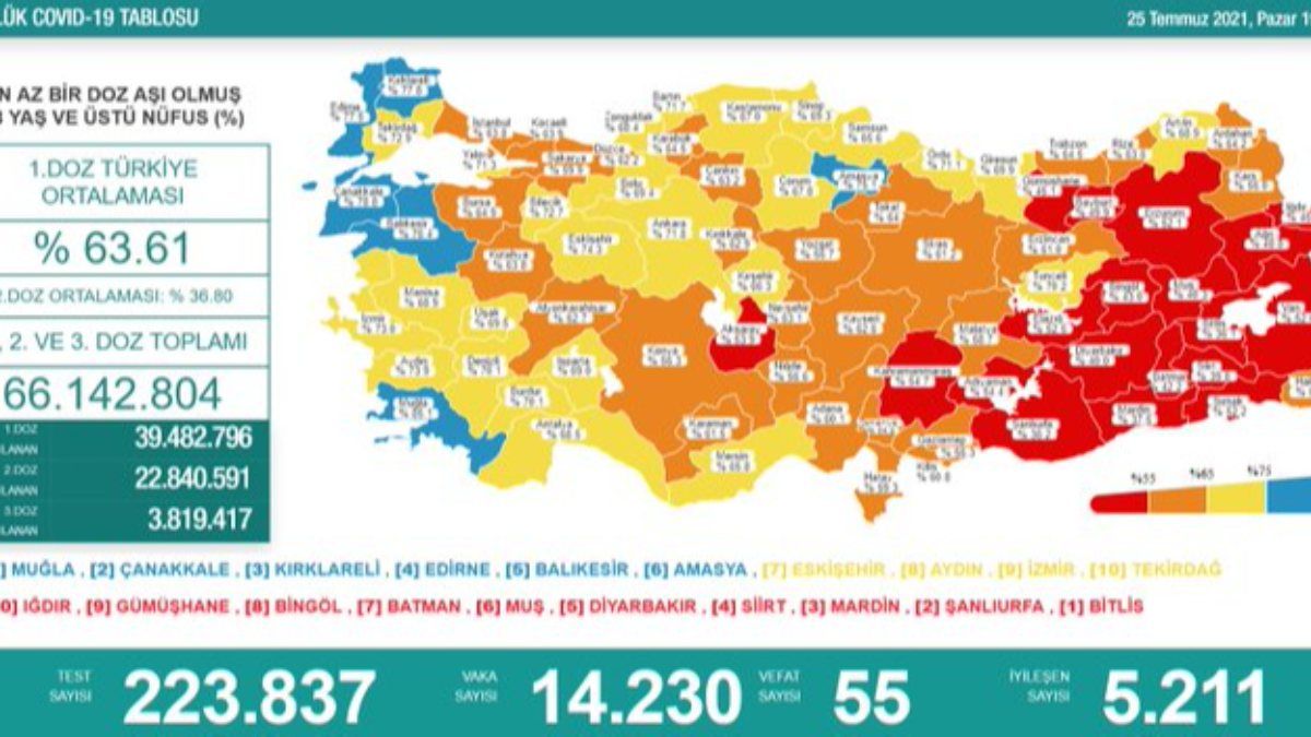 25 Temmuz Türkiye'de koronavirüs tablosu
