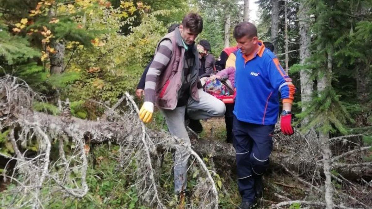 Karabük'te mantar toplarken düşüp ayağını kırdı, imdadına ekipler yetişti