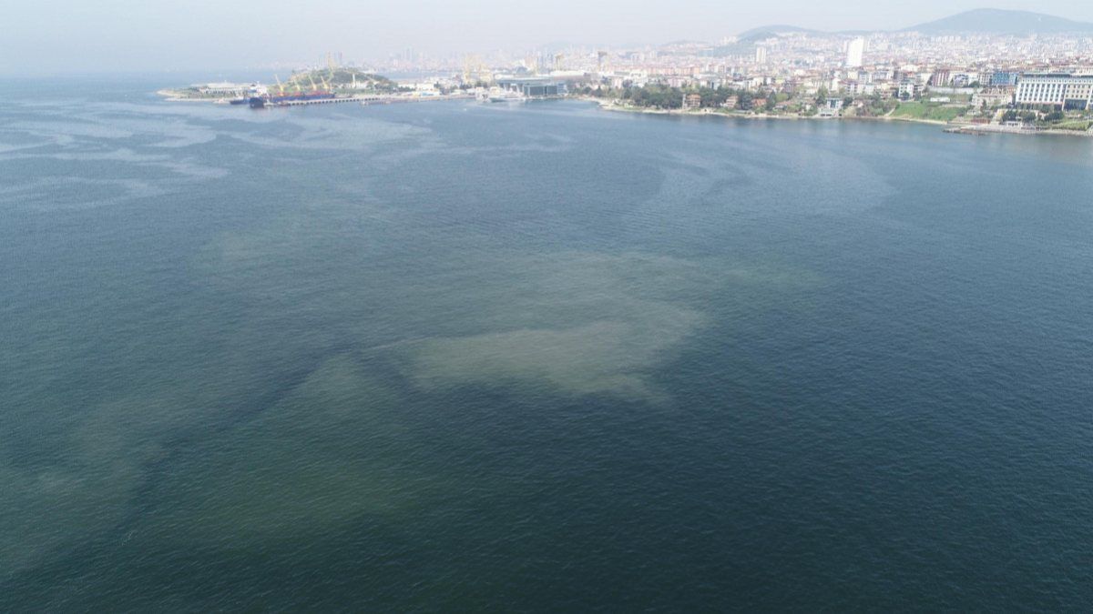 İstanbul sahillerinde müsilaj tedirginliği
