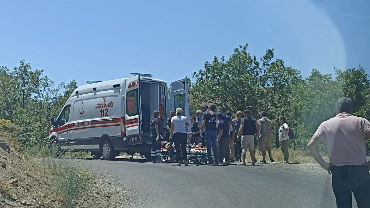 Tunceli'de kapısı açılan kamyonetten düştü