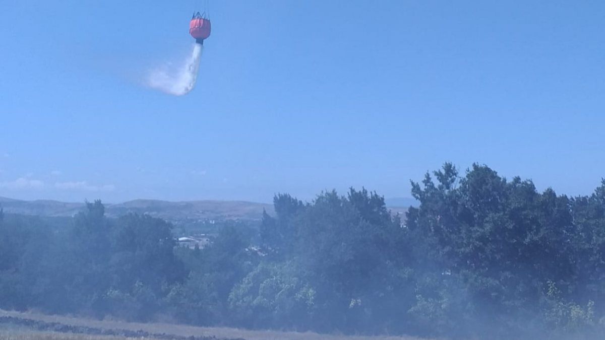Bursa'da çıkan orman yangını, 1,5 saatte kontrol altına alındı
