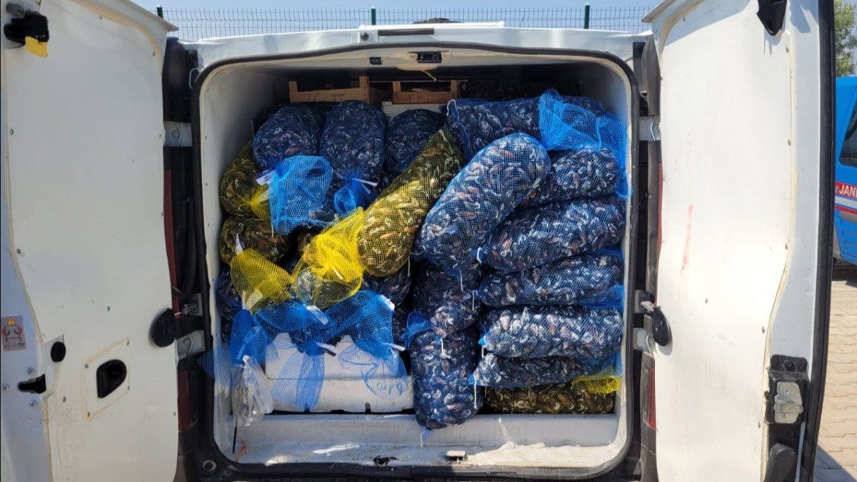 Bodrum'da kaçak balık taşıyan şüpheliye 10 bin 811 lira ceza kesildi